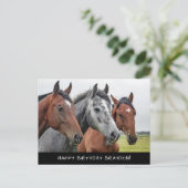 Mooie verjaardag van paarden briefkaart (Staand voorkant)