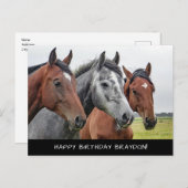 Mooie verjaardag van paarden briefkaart (Voorkant / Achterkant)