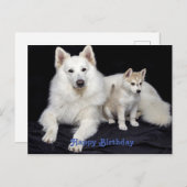 Mooie verjaardagsgroet Honden Briefkaart (Voorkant / Achterkant)