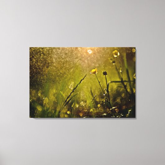 Mooie verlichting Misty Rain Kleine bloemen Canvas Afdruk (Voorkant)