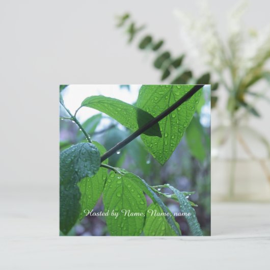 mooie verse lente groen laat iedereen achter kaart (Staand voorkant)