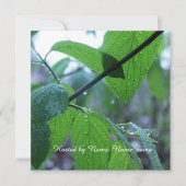 mooie verse lente groene bladeren alle feestje kaart (Voorkant)