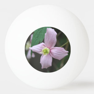 Mooie verse lente roze tuin bloem. bloemrijk pingpongbal