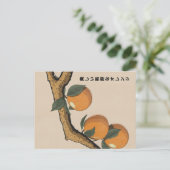 Mooie verse sinaasappels briefkaart (Staand voorkant)