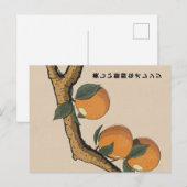 Mooie verse sinaasappels briefkaart (Voorkant / Achterkant)