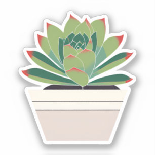 Mooie vetplant sticker