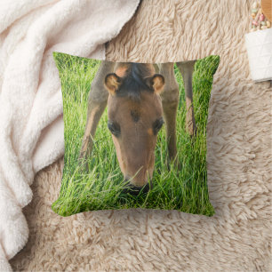 Mooie Veulen Baby Paarden Groen Katoen Kussen