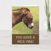 Mooie Vibe Donkey Gelukkige Verjaardag Kaart (Voorkant)