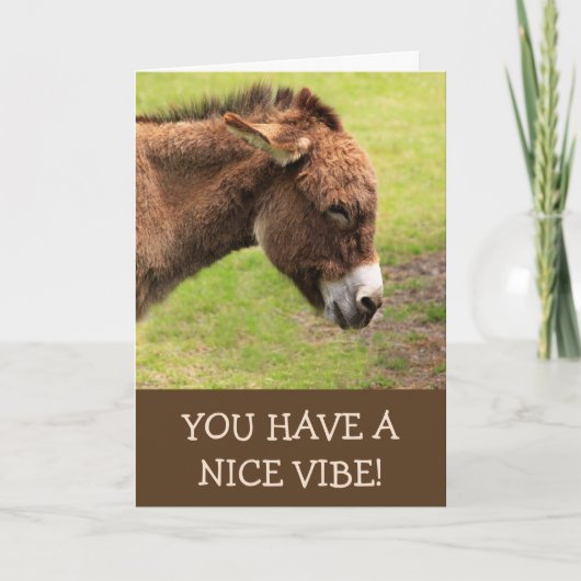 Mooie Vibe Donkey Gelukkige Verjaardag Kaart (Voorkant)