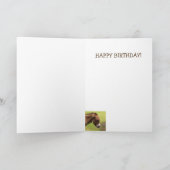 Mooie Vibe Donkey Gelukkige Verjaardag Kaart (Binnen)