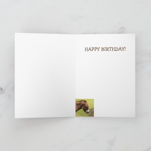 Mooie Vibe Donkey Gelukkige Verjaardag Kaart (Binnen)