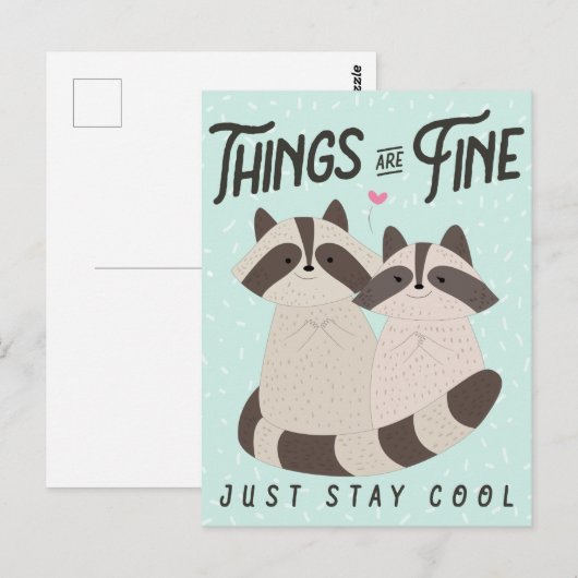 Mooie videokaart, alles is goed, accoons briefkaart (Voorkant / Achterkant)