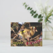 Mooie Vink Close-up Gelukkige Verjaardag Ansichtka Briefkaart (Staand voorkant)