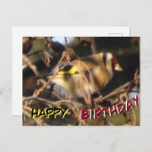 Mooie Vink Close-up Gelukkige Verjaardag Ansichtka Briefkaart (Voorkant / Achterkant)