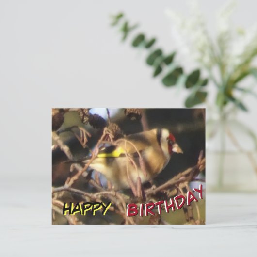 Mooie Vink Close-up Gelukkige Verjaardagskaart Briefkaart (Staand voorkant)