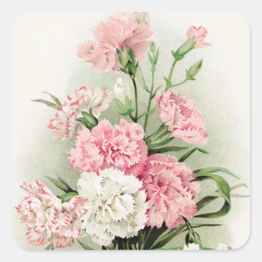 Mooie vintage anjers bloem sticker (Voorkant)