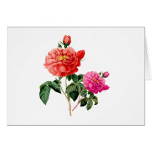 mooie vintage rode en roze roos bloemen