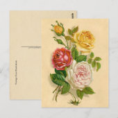 Mooie Vintage Roos Illustratie Briefkaart (Voorkant / Achterkant)