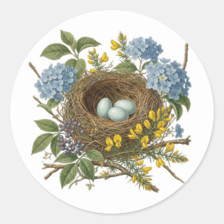 Mooie Vintage Vogel Nest Sticker