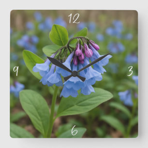 Mooie Virginia Bluebells Vierkante Klok