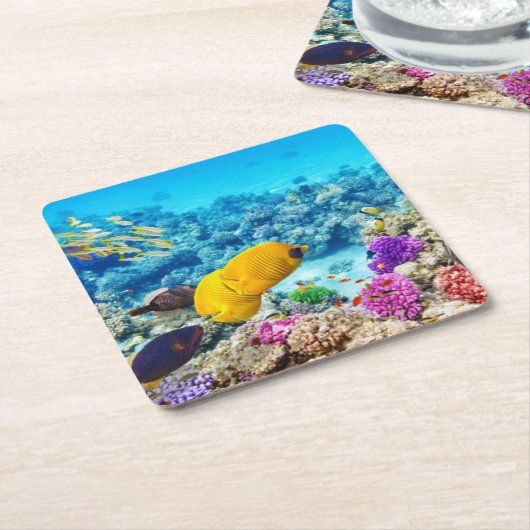 Mooie vis Onderzetter set (Schuin)