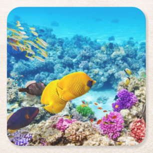 Mooie vis Onderzetter set