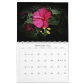 Mooie Visions Grote Muurkalender 2024 Kalender (Feb 2026)