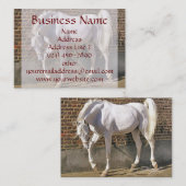 Mooie Visitekaartjes van het witte Arabische paard (Voorkant / Achterkant)