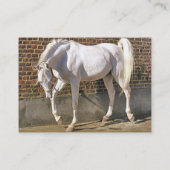 Mooie Visitekaartjes van het witte Arabische paard (Achterkant)