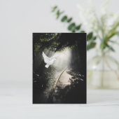 Mooie vliegende duif briefkaart (Staand voorkant)