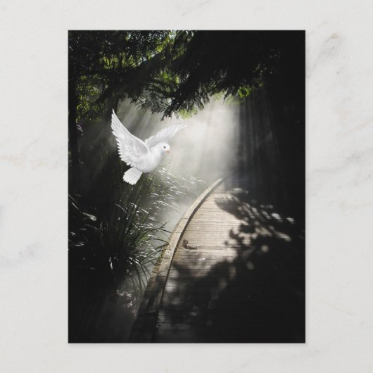 Mooie vliegende duif briefkaart (Voorkant)