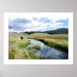 Mooie vliegvisserij poster