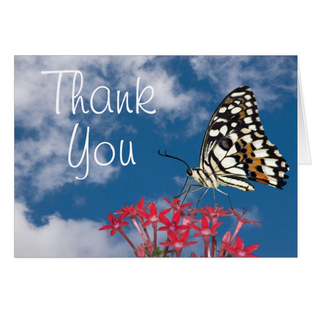 Mooie vlinder (Voorkant Horizontaal)