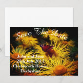 Mooie vlinder bespaart de data save the date (Voorkant / Achterkant)