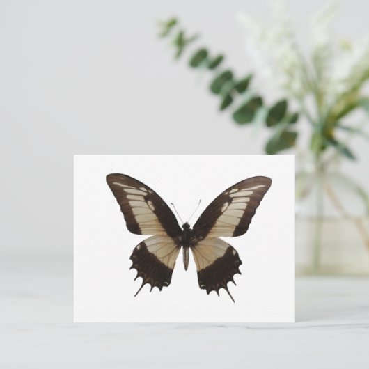 Mooie vlinder briefkaart (Staand voorkant)