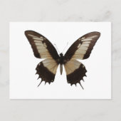 Mooie vlinder briefkaart (Voorkant)