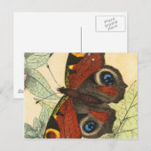 Mooie vlinder briefkaart (Voorkant / Achterkant)