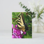 Mooie vlinder briefkaart (Staand voorkant)