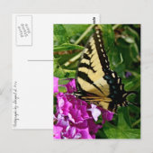 Mooie vlinder briefkaart (Voorkant / Achterkant)