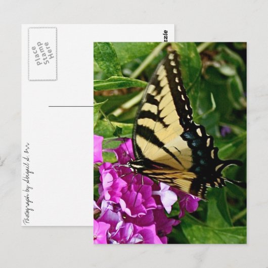 Mooie vlinder briefkaart (Voorkant / Achterkant)
