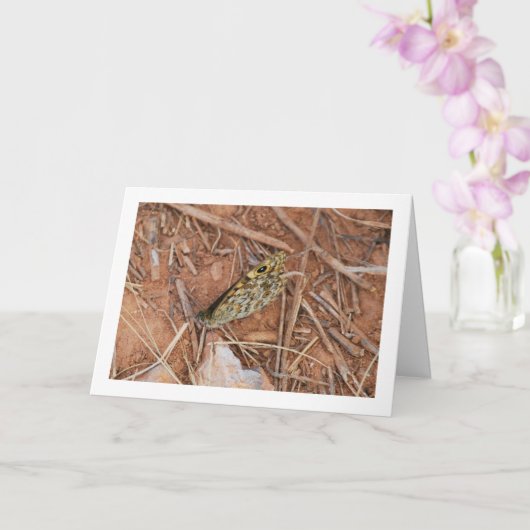 Mooie vlinder kaart (Orchidee)