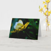 Mooie Vlinder Lege Notecard Kaart (Gele Bloem)