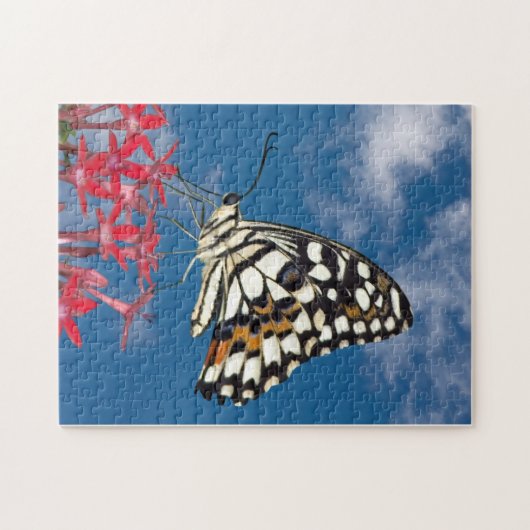 Mooie vlinder legpuzzel (Horizontaal)