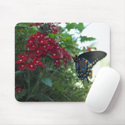 Mooie vlinder muismat (Met muis)