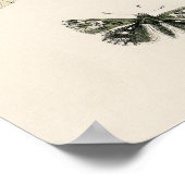 Mooie Vlinder Natuurprintposter Poster (Hoek)