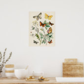 Mooie Vlinder Natuurprintposter Poster (Keuken)