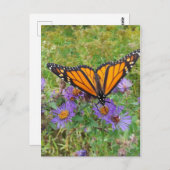 Mooie vlinder op Cornflower Briefkaart (Voorkant / Achterkant)