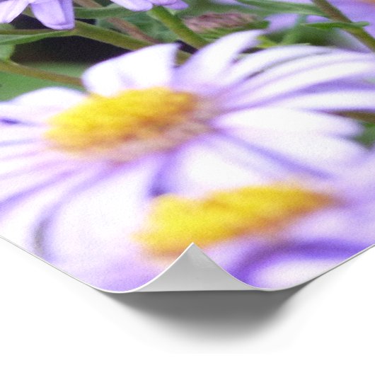 Mooie vlinder op de vloer poster (Hoek)