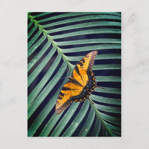 Mooie vlinder op een blad briefkaart