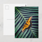 Mooie vlinder op een blad briefkaart (Voorkant / Achterkant)